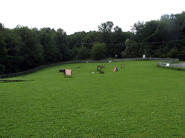 Agility Course, photo 2 of 5