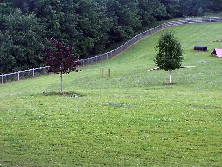 Agility Course, photo 5 of 5