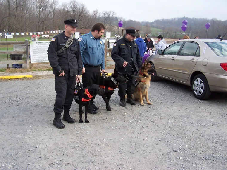 Events, photo 4 of 26