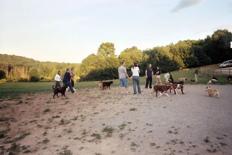 Our Primary Guests, photo 42 of 46