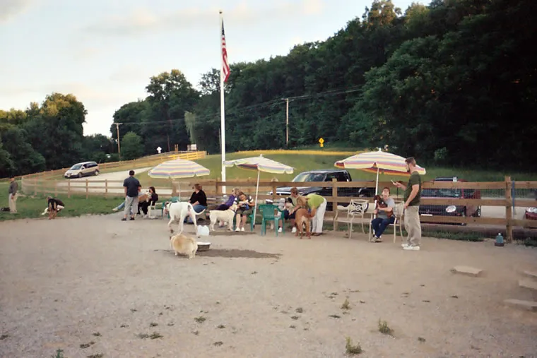 Our Primary Guests, photo 43 of 46